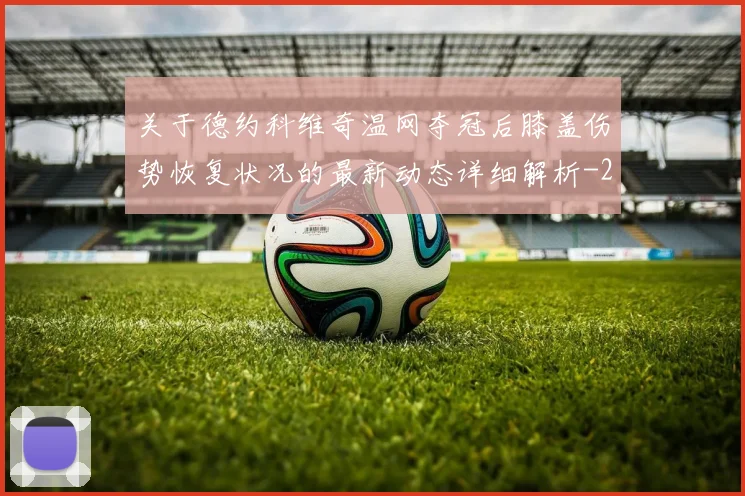 关于德约科维奇温网夺冠后膝盖伤势恢复状况的最新动态详细解析