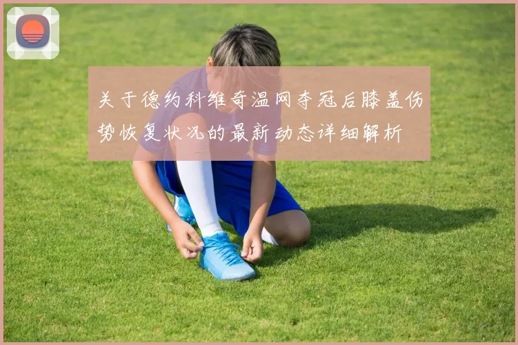关于德约科维奇温网夺冠后膝盖伤势恢复状况的最新动态详细解析